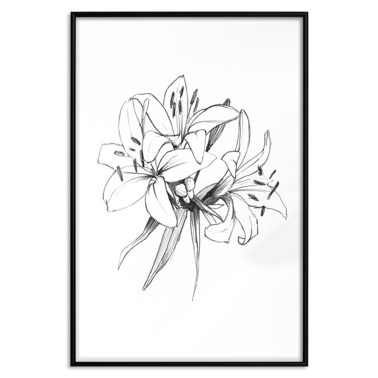 Wall Poster Drawn Flowers - black sketch of flowers on a contrasting white background 142064 additionalImage 24