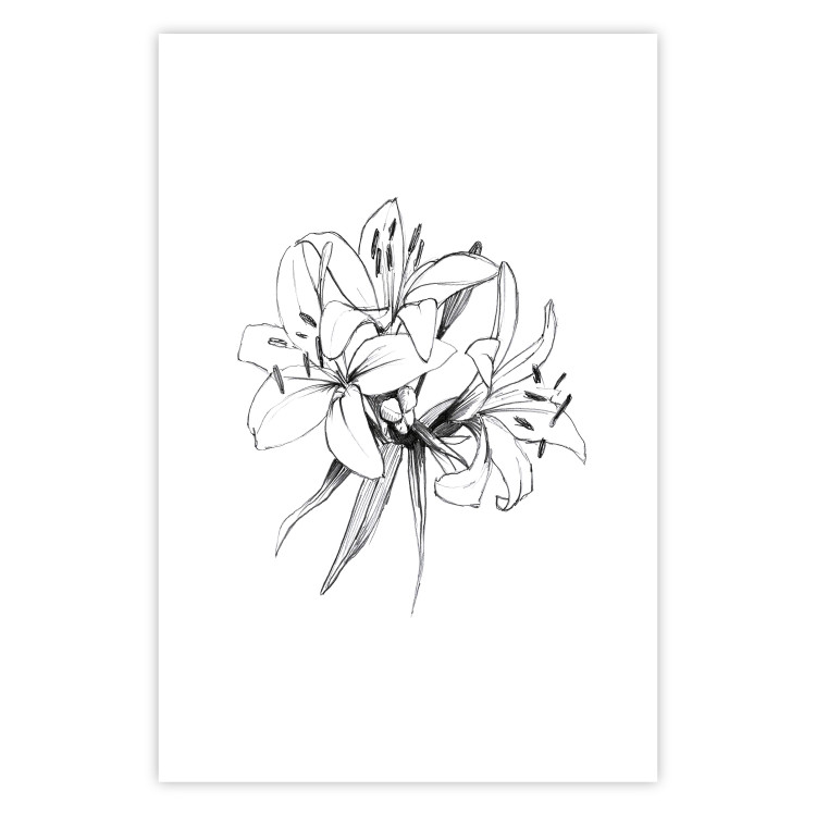 Wall Poster Drawn Flowers - black sketch of flowers on a contrasting white background 142064 additionalImage 19