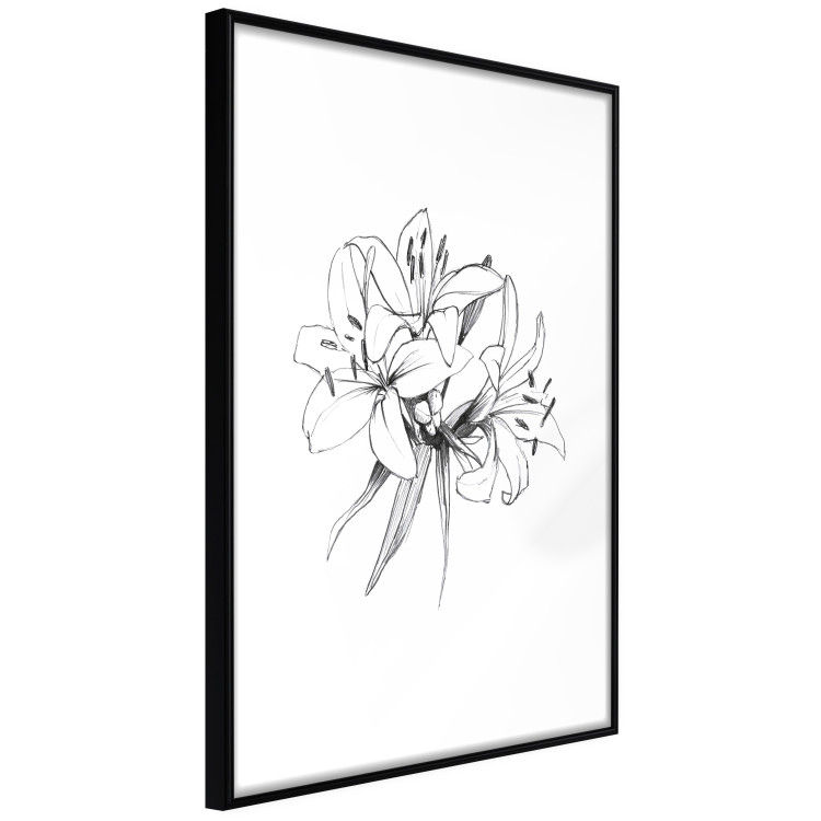 Wall Poster Drawn Flowers - black sketch of flowers on a contrasting white background 142064 additionalImage 11