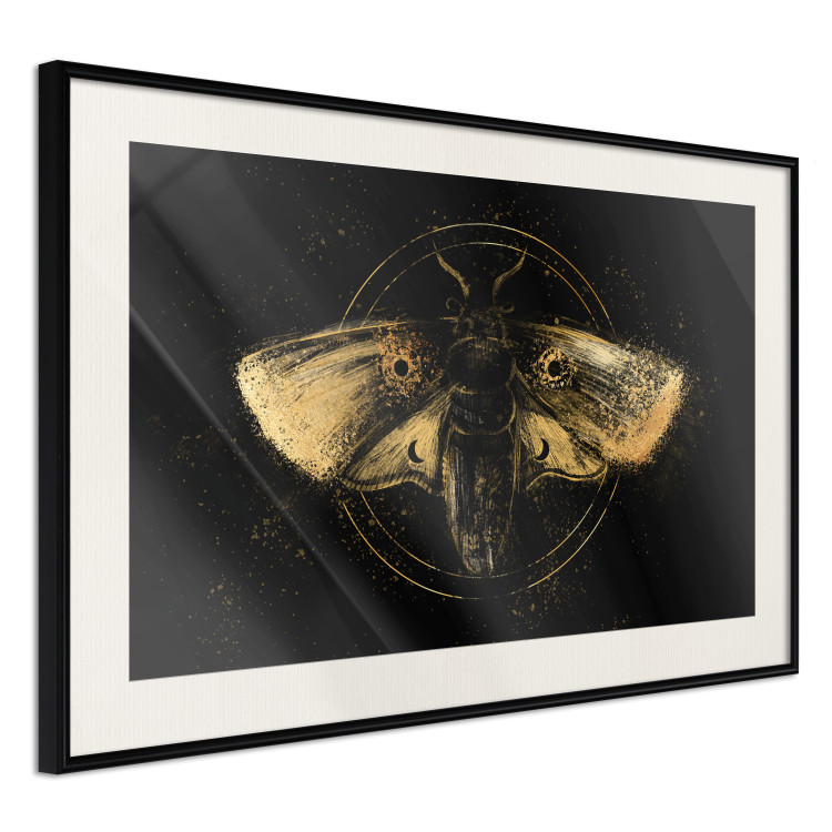 Poster Night Moth [Poster] 142564 additionalImage 10
