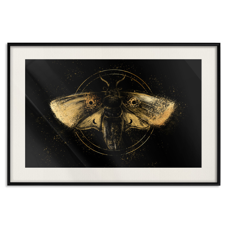 Poster Night Moth [Poster] 142564 additionalImage 21