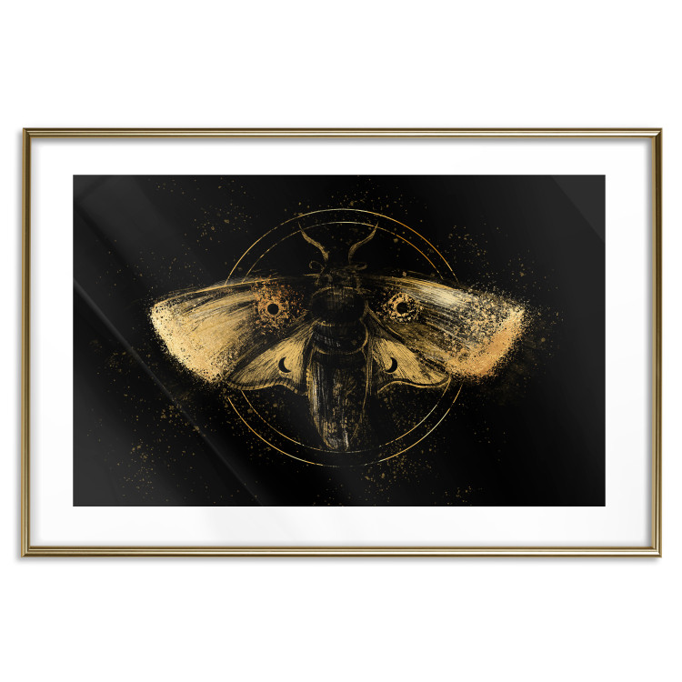 Poster Night Moth [Poster] 142564 additionalImage 20