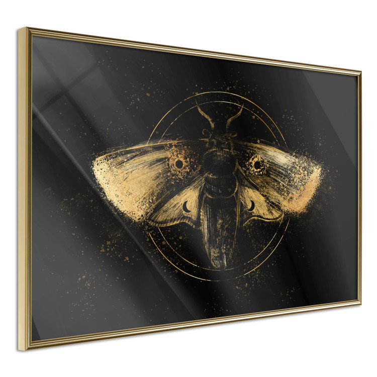 Poster Night Moth [Poster] 142564 additionalImage 9