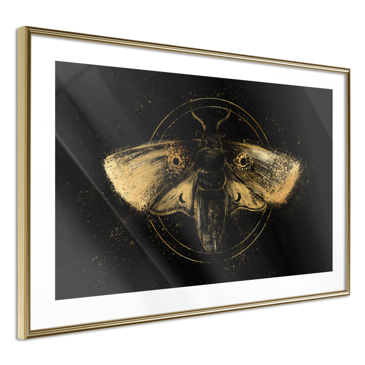 Poster Night Moth [Poster] 142564 additionalImage 6