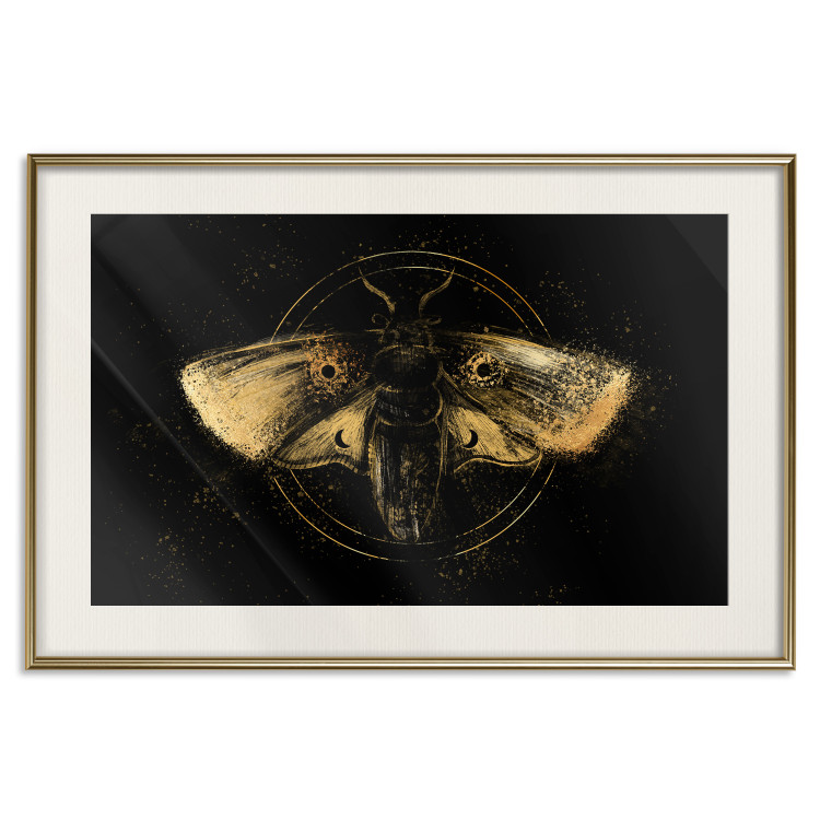 Poster Night Moth [Poster] 142564 additionalImage 25