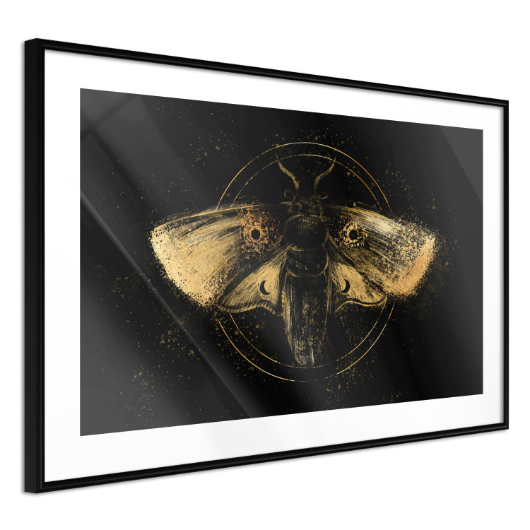 Poster Night Moth [Poster] 142564 additionalImage 7