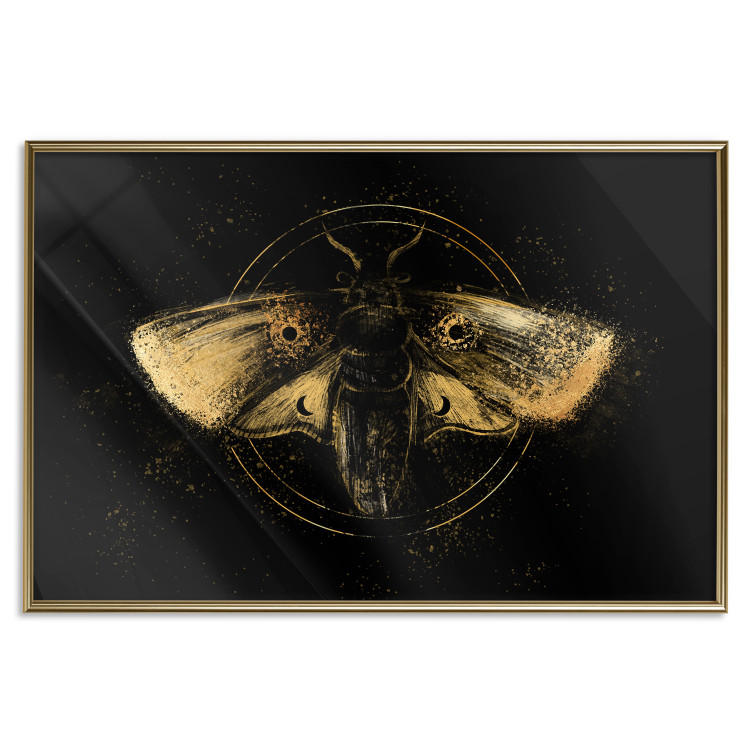 Poster Night Moth [Poster] 142564 additionalImage 27