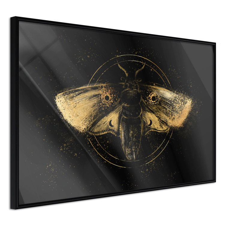 Poster Night Moth [Poster] 142564 additionalImage 8