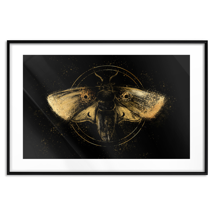 Poster Night Moth [Poster] 142564 additionalImage 5