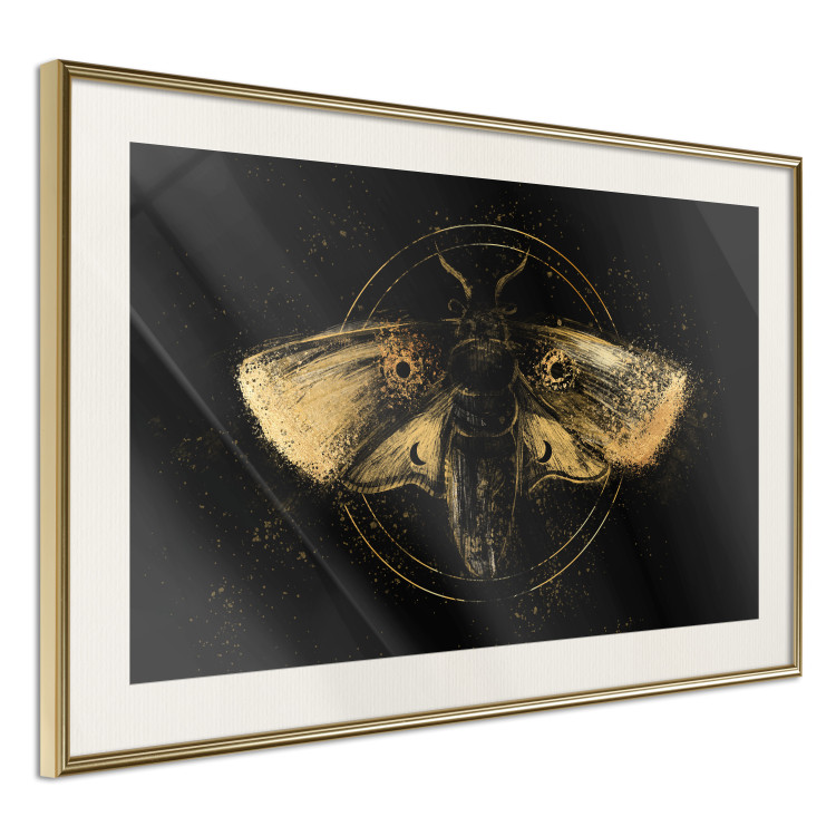 Poster Night Moth [Poster] 142564 additionalImage 12