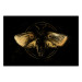Poster Night Moth [Poster] 142564