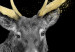 Canvas Art Print Golden Antlers (5-piece) Wide - silver stag and moon at night 143264 additionalThumb 4