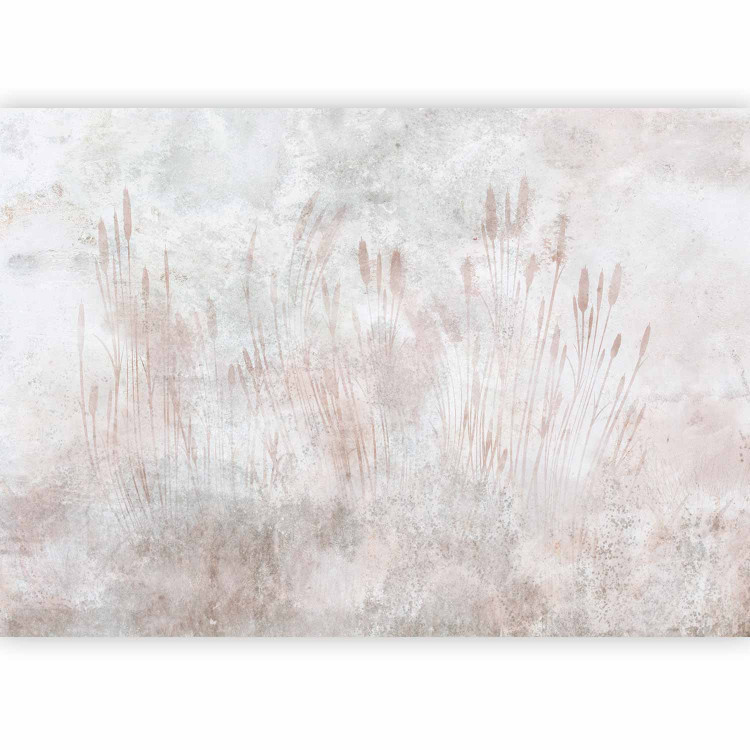 Wall Mural Water Reeds - Delicate Landscape of River Vegetation 148564 additionalImage 5