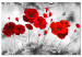 Large canvas print Red Poppy Bed [Large Format] 150764