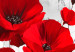 Large canvas print Red Poppy Bed [Large Format] 150764 additionalThumb 4