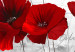 Large canvas print Red Poppy Bed [Large Format] 150764 additionalThumb 3