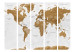 Room Separator White Oceans - world map with brown continents and white ocean 95664 additionalThumb 3