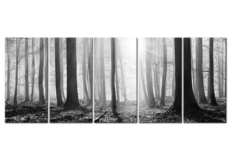 Canvas Print Monochrome Forest 98564