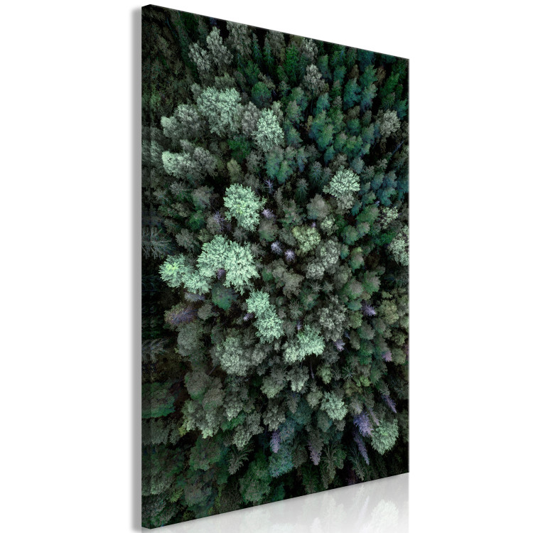 Canvas Art Print Flying Over Forest (1 Part) Vertical 117074 additionalImage 2
