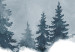 Poster Slice of Siberia - winter landscape of forest trees and misty sky 117774 additionalThumb 8