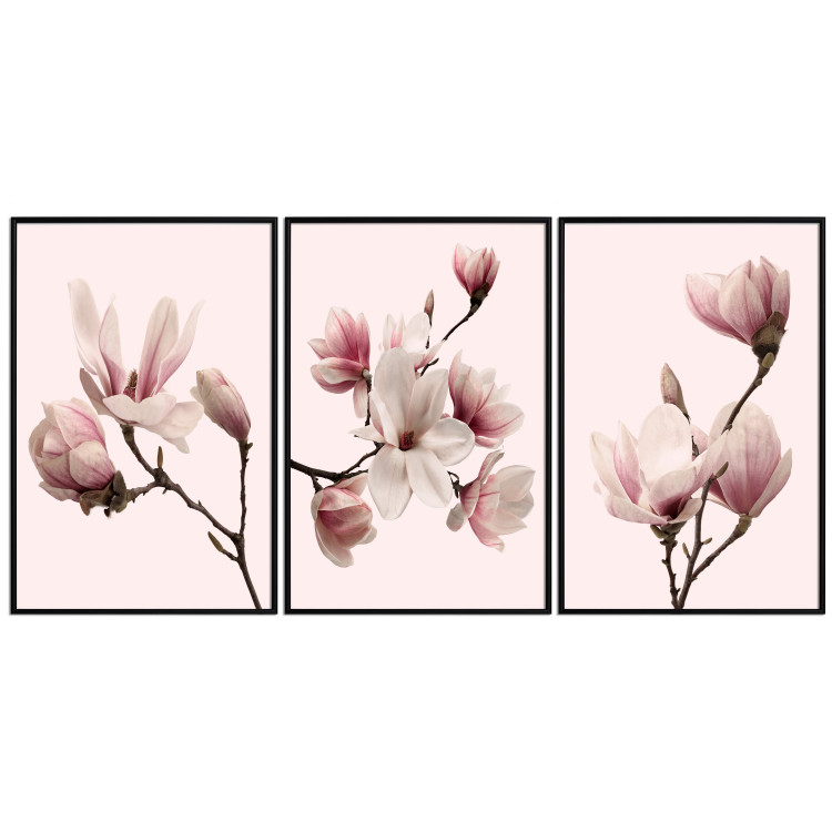 Gallery wall Magnolias 124774 additionalImage 1