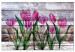 Canvas Print Spring Poetry (1-part) wide - tulips on a wooden background 128774