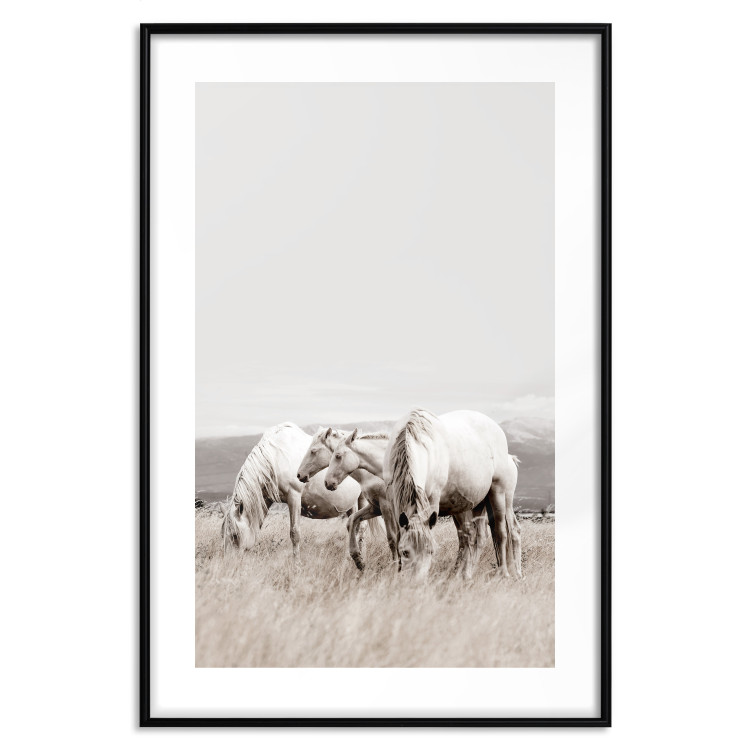 Wall Poster White Horses - autumn composition of animals in a meadow in bright colors 130374 additionalImage 15