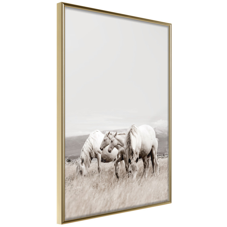Wall Poster White Horses - autumn composition of animals in a meadow in bright colors 130374 additionalImage 13