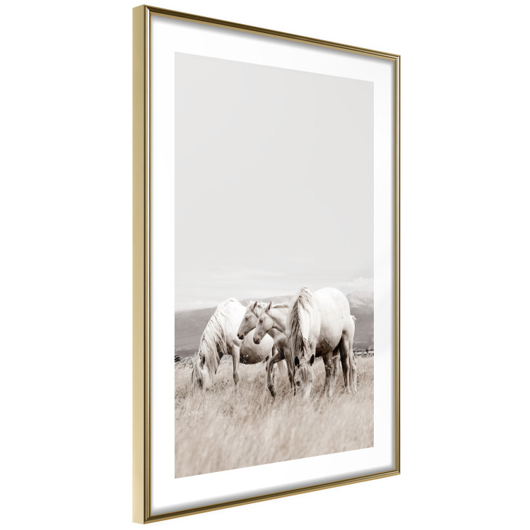 Wall Poster White Horses - autumn composition of animals in a meadow in bright colors 130374 additionalImage 9