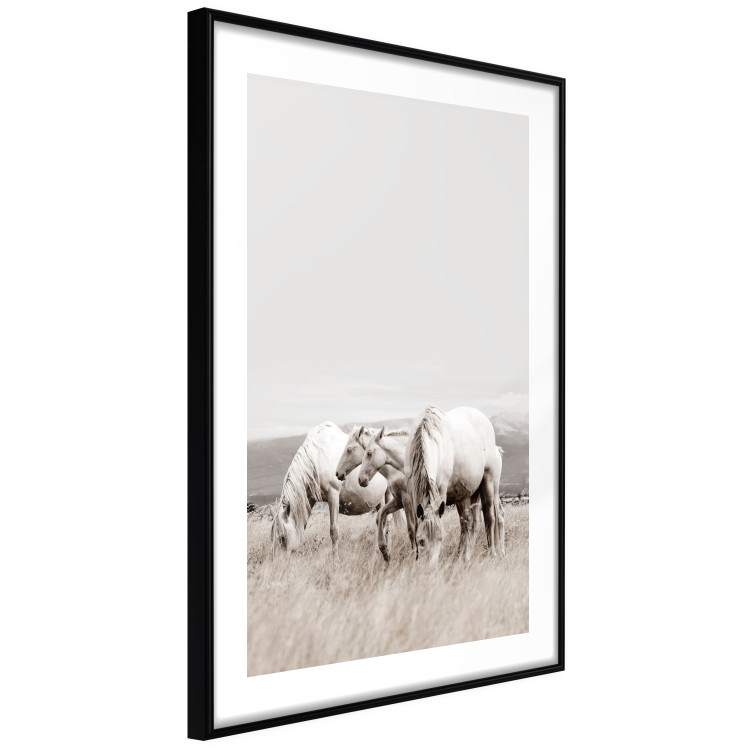 Wall Poster White Horses - autumn composition of animals in a meadow in bright colors 130374 additionalImage 14