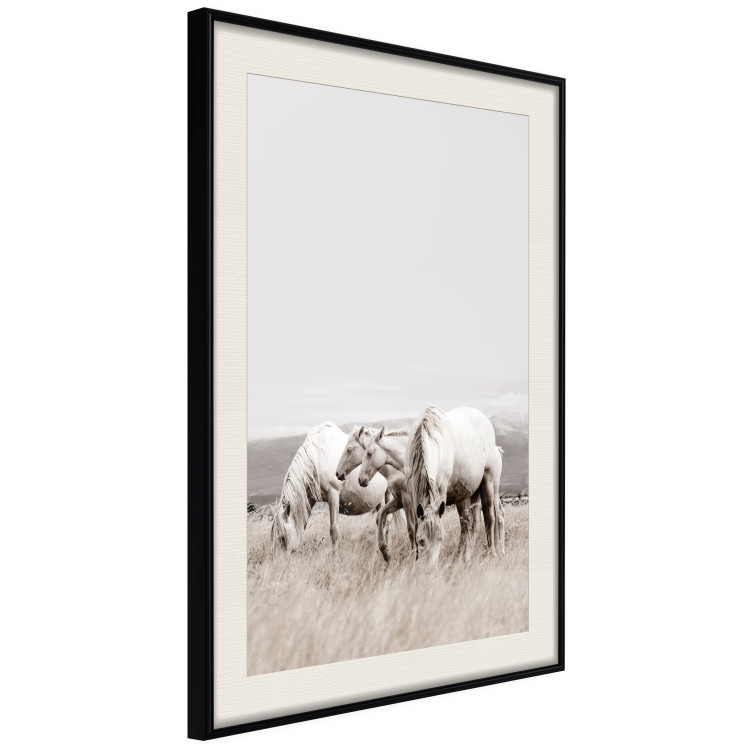 Wall Poster White Horses - autumn composition of animals in a meadow in bright colors 130374 additionalImage 6