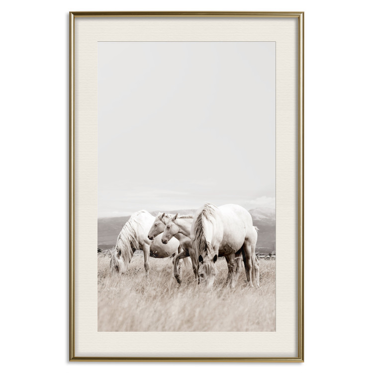 Wall Poster White Horses - autumn composition of animals in a meadow in bright colors 130374 additionalImage 20