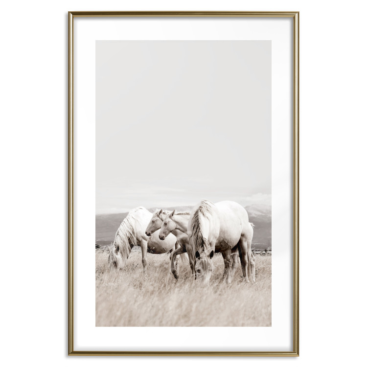 Wall Poster White Horses - autumn composition of animals in a meadow in bright colors 130374 additionalImage 16