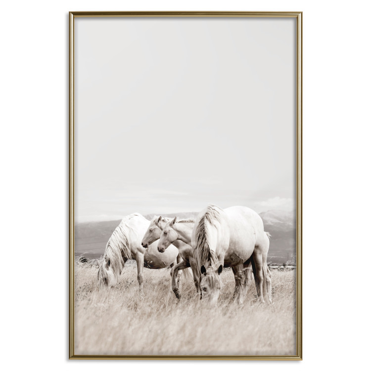Wall Poster White Horses - autumn composition of animals in a meadow in bright colors 130374 additionalImage 21