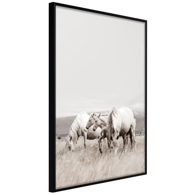 Wall Poster White Horses - autumn composition of animals in a meadow in bright colors 130374 additionalImage 10