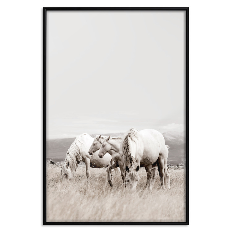 Wall Poster White Horses - autumn composition of animals in a meadow in bright colors 130374 additionalImage 18