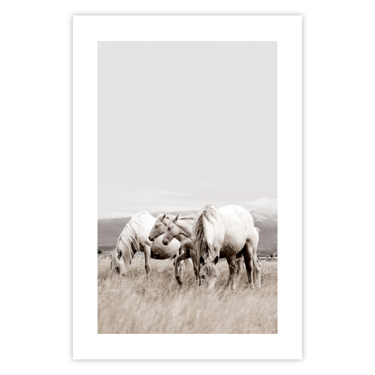 Wall Poster White Horses - autumn composition of animals in a meadow in bright colors 130374 additionalImage 25