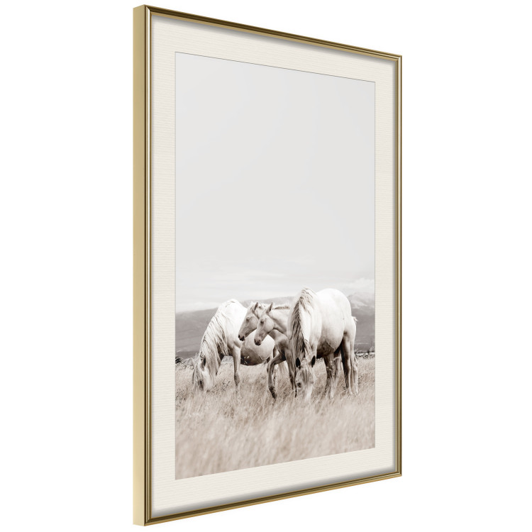 Wall Poster White Horses - autumn composition of animals in a meadow in bright colors 130374 additionalImage 9