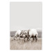 Wall Poster White Horses - autumn composition of animals in a meadow in bright colors 130374