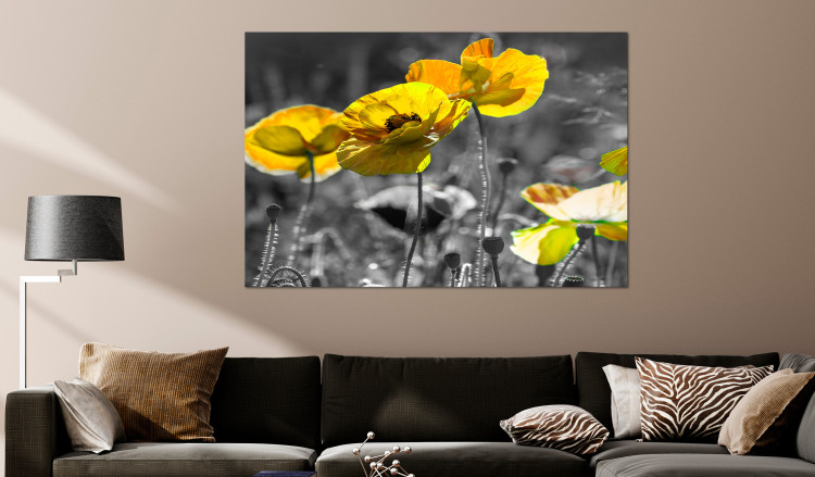 Large canvas print Yellow Poppies [Large Format] 132374 additionalImage 3