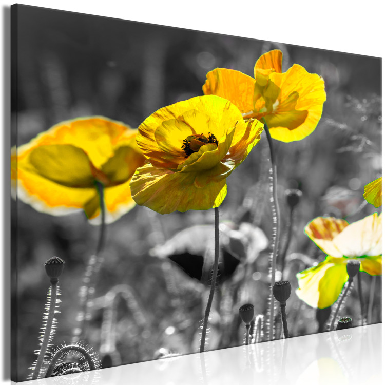 Large canvas print Yellow Poppies [Large Format] 132374 additionalImage 2