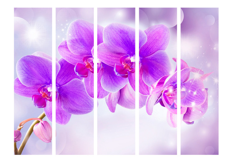 Room Divider Purple Orchids II (5-piece) - magical illusion with orchid 132674 additionalImage 3