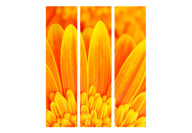 Room Separator Yellow Gerbera - plant composition of intensely yellow sunflower 133974 additionalImage 3