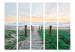 Room Divider Screen Amidst the Grass II - beach and sea landscape against a sunset backdrop 134074 additionalThumb 3