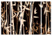 Room Separator Oriental Bamboo II (5-piece) - brown plants on a black background 134274 additionalThumb 7