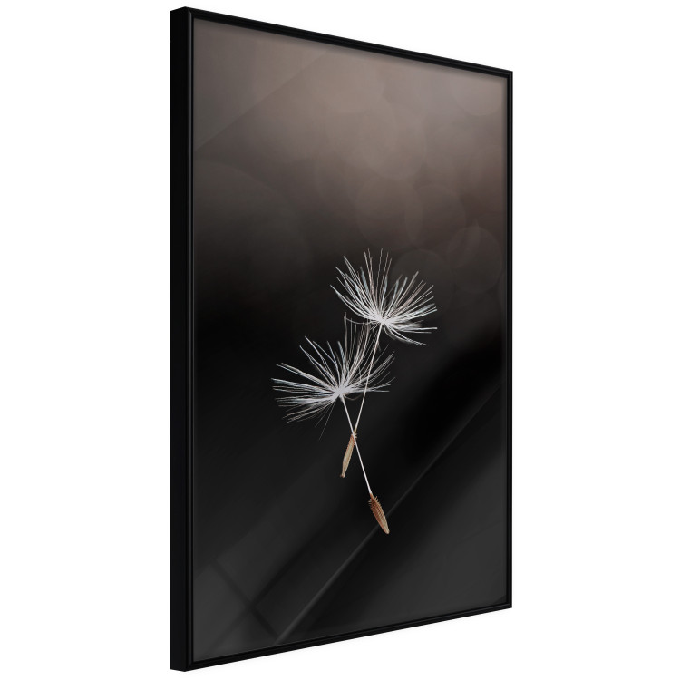 Wall Poster Soaring Moment - delicate white dandelion flowers on a black background 137274 additionalImage 12
