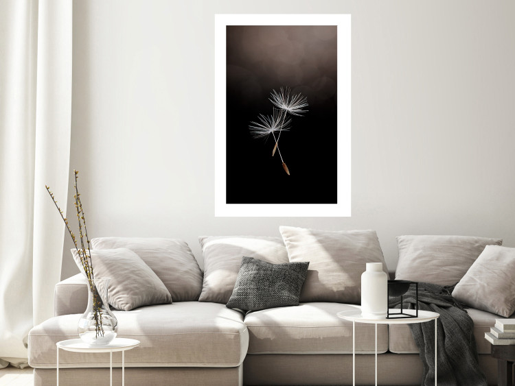 Wall Poster Soaring Moment - delicate white dandelion flowers on a black background 137274 additionalImage 10