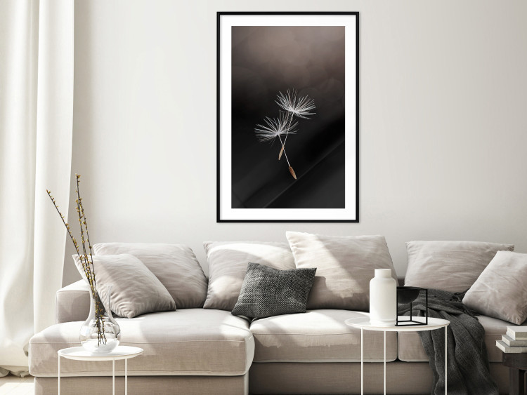 Wall Poster Soaring Moment - delicate white dandelion flowers on a black background 137274 additionalImage 7