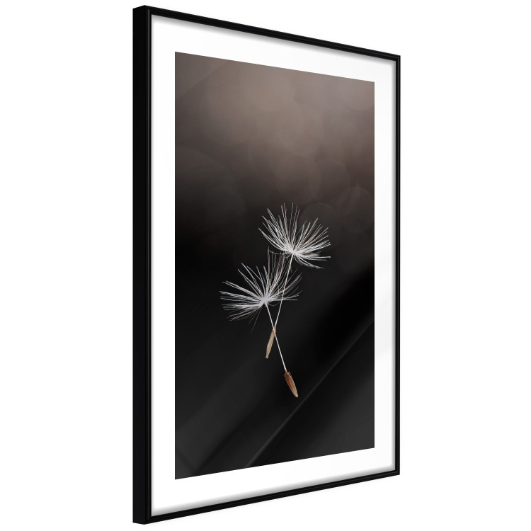 Wall Poster Soaring Moment - delicate white dandelion flowers on a black background 137274 additionalImage 13