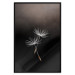 Wall Poster Soaring Moment - delicate white dandelion flowers on a black background 137274 additionalThumb 3
